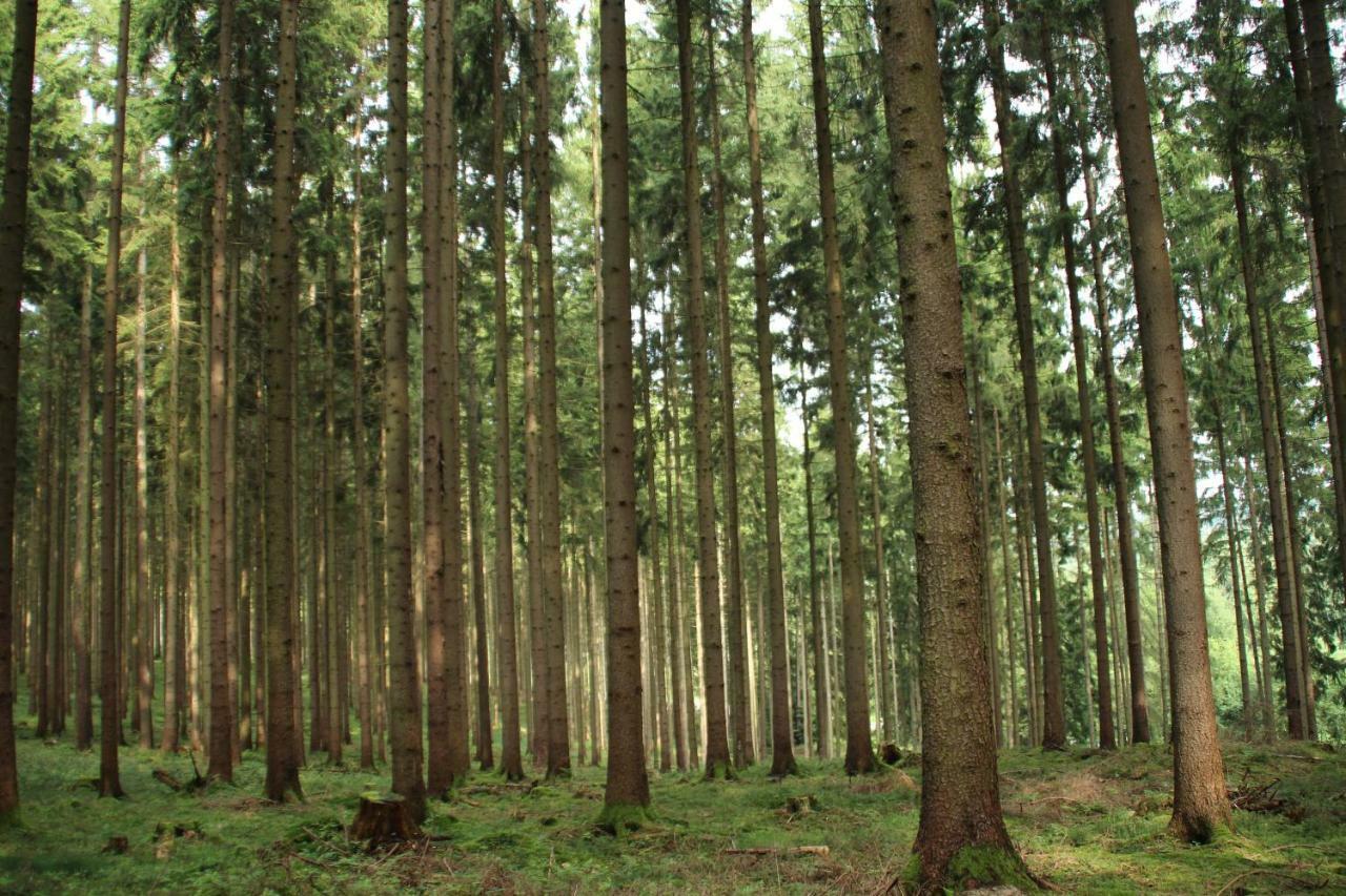 Ferienhaus "Gestiefelter Kater" Am See Im Bergland Kirchheim  Exteriör bild
